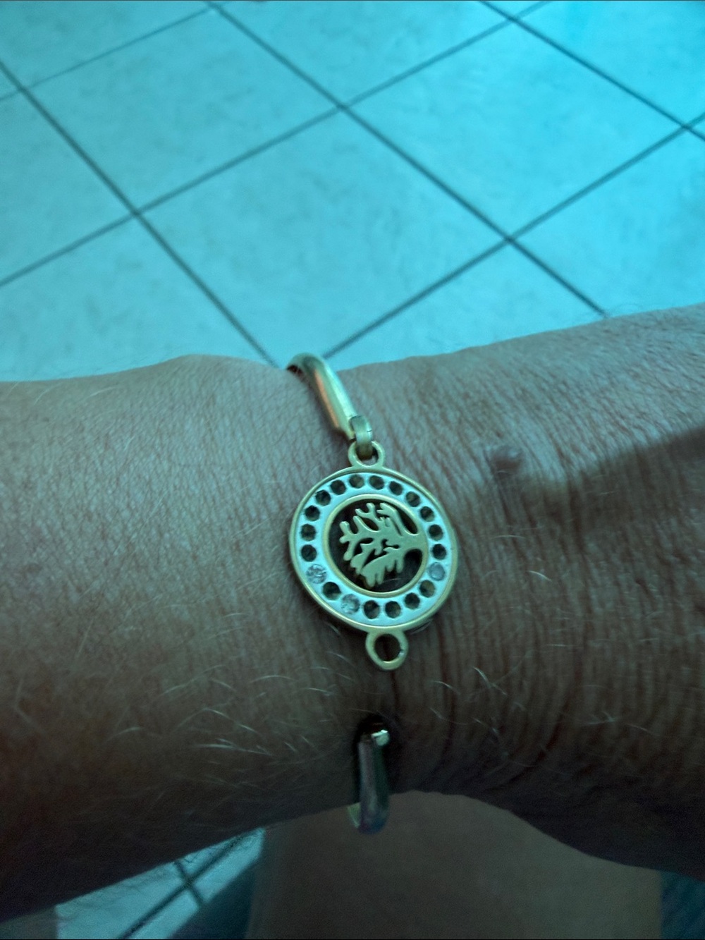 Source Unknown Gold Leaf Circle Charm Bangle Bracelet